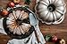 Nordic Ware Exclusive Bundt and Bundt Bag, Champagne