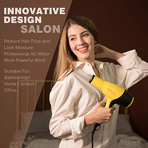 Deinppa Ionic Hair Dryer AC 2100W Professional Salon Blow Dryer Low