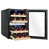 Firebird 12 Bottles Dual Zone Reversible Doors Stainless Steel Finish Wooden Shelves Freestanding Electric Wine Cooler Cellar
