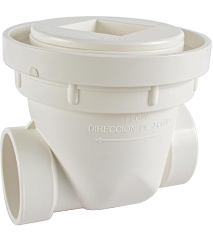 Amazon.com: Canplas Backwater Valve, 2-Inch : Industrial & Scientific