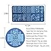BEAUTYBIGBANG 6Pcs Nail Stamping Plates Set Valentine's Day Sweetheart Flower Winter Image Templates Nail Art Stamping Kits DIY Salon Design