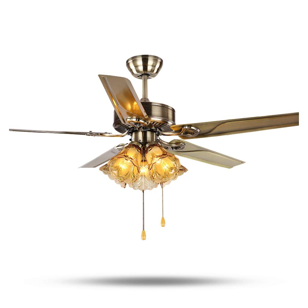 Amazon Com Yc Electronics Modern Lron Ceiling Fans Light 220v