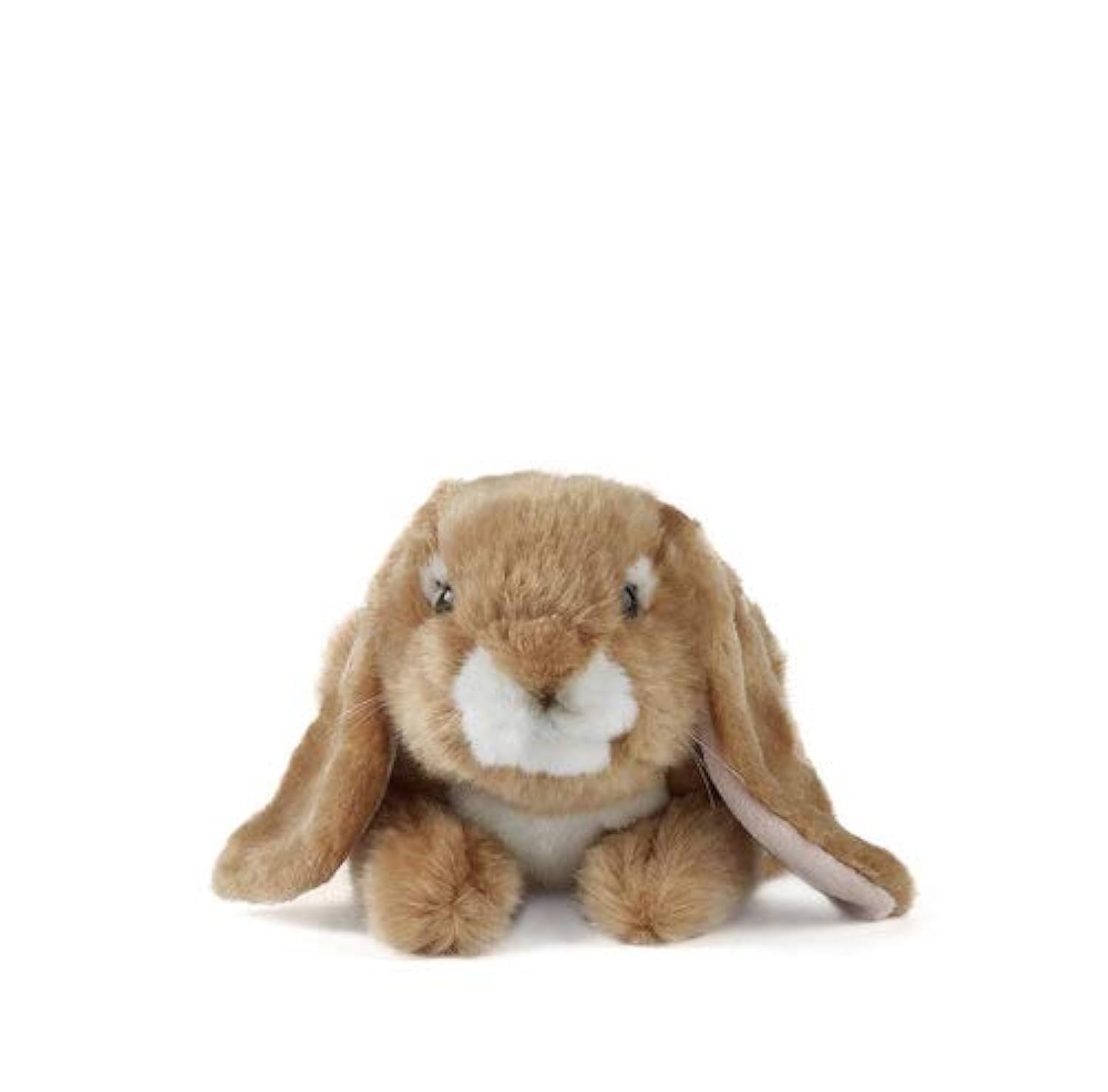 Living Nature Brown Lop Eared Rabbit