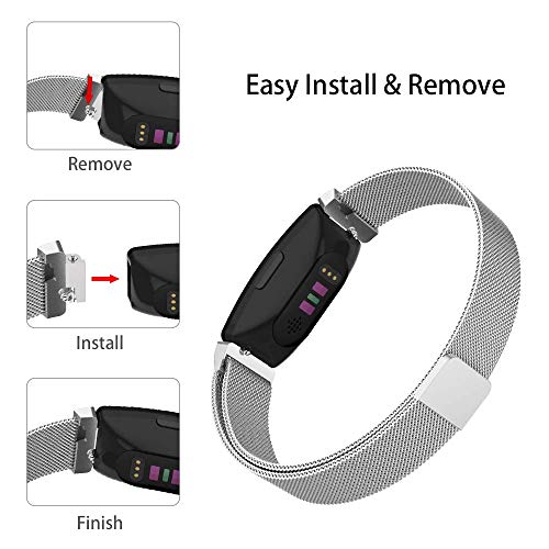 3 Intoval+Compatible+Stainless+Magnetic+Replacement