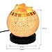 Himalayan Salt Lamp, Natural Crystal Salt Lamp Salt Chunks in Glass Bowl with Wood Base, Bulb and Dimmer Control for Christmas Gift and Home Decorations. [energy class a+++]