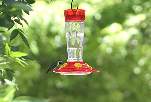 image for More Birds Hummingbird Feeder, Glass Bird Feeders, Red, 5 Feeding Stat