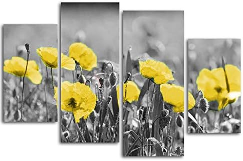 Amazon Com Poppies Field Floral Canvas Wall Art Black White And