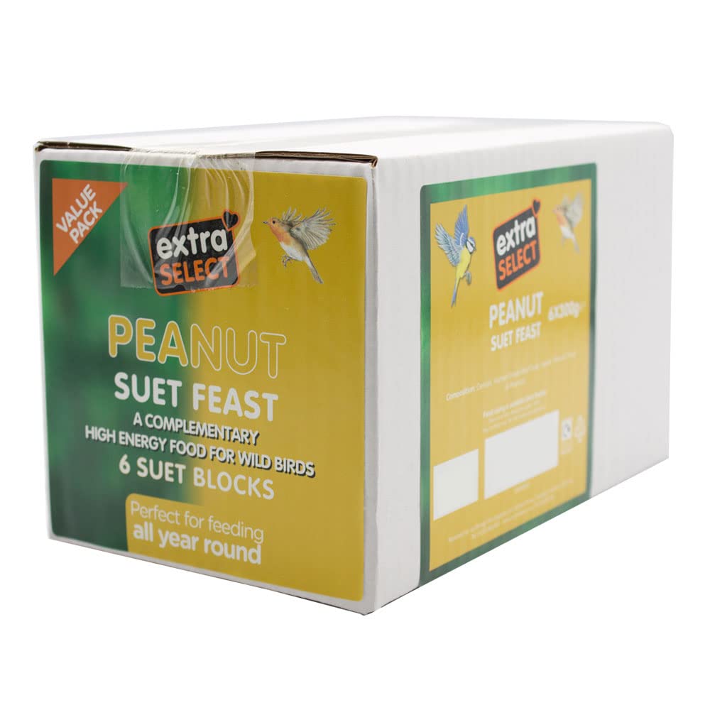 Extra Select High Energy Peanut Suet Blocks 6x300gm
