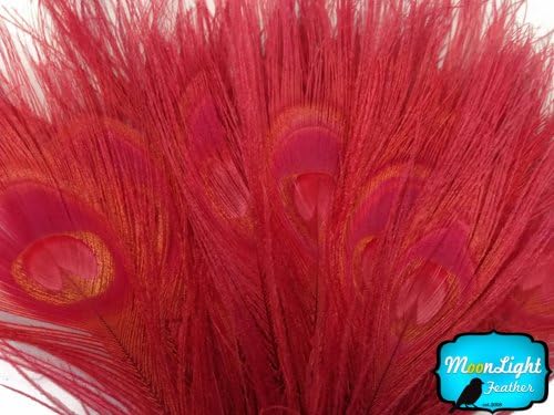 Peacock Feathers - Red Peacock Feathers 30-35", 100 Pieces