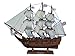 Hampton Nautical Darwin's HMS Beagle Tall Ship, 14