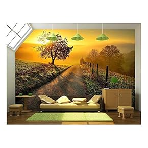 Idyllic Rural Landscape on a Hill with a Tree on a Meadow at Sunrise - Removable Wall Mural | Self-Adhesive Large Wallpaper - 66x96 inches