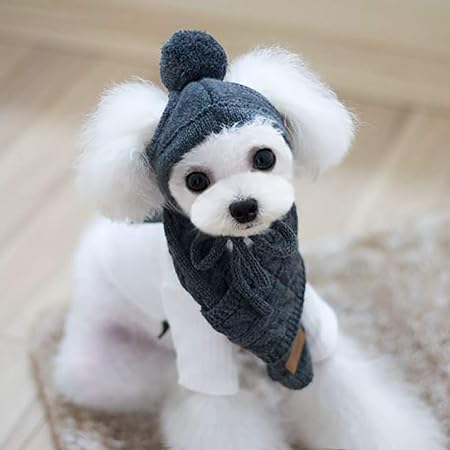 dog hat and scarf set