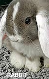 Image de RABBIT: PHOTO BOOK RABBIT , PHOTO BOOK RABBITS