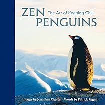 Ad alitudine di crociera splende sempre il sole: Pensieri in libertagrave; sull'arte; chi la fa e chi le sta intorno (Italian Edition)