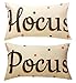 Decemter Hocus Pocus Halloween Cotton Linen Home Decor Cushion Covers Pack of 2, 12x20