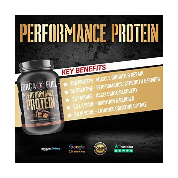 30g-Whey-Protein-5g-Creatine-Monohydrate-EAA-BCAA-Build-Muscle-Lose-Fat-Improve-Performance-Speed-Up-Recovery-Enhance-Muscle-Protein-Synthesis-Forca-Fuel-Chocolate-Salted-Caramel 30g Whey Protein | 5g Creatine Monohydrate | EAA | BCAA | Build Muscle | Lose Fat | Improve Performance | Speed Up Recovery | Enhance Muscle Protein Synthesis | Força Fuel (Chocolate Salted Caramel)