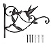 DEWEL Hanging Plant Bracket, Hummingbird Plant Hangers Outdoor Iron Hanging Baskets for Plants Decorative Wall Plant Hooks Brid Feeder Hanger Hook Hangers for Flower Basket Pot Lantern Wind Chime