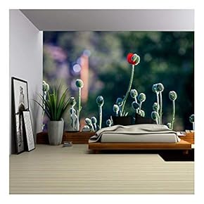 Closeup of Flower Bud - Removable Wall Mural | Self-Adhesive Large Wallpaper - 66x96 inches