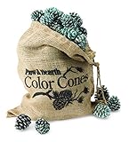 Plow & Hearth Fireplace Color Changing Pine Cones Wood Burning Accessories