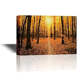 Landscape with Path in Yellow Forest in Autumn at Sunset