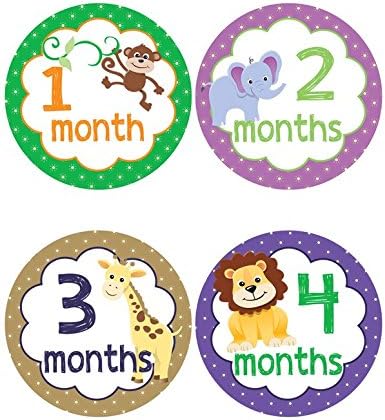Jungle Themed Baby Onesie Stickers - Baby Milestone Stickers (470)