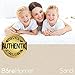 Bare Home Fitted Bottom Sheet Twin XL Size - Premium 1800 Microfiber - Ultra-Soft Hotel Luxury - Deep Pocket - Durable and Long Lasting (Twin XL, Sand)