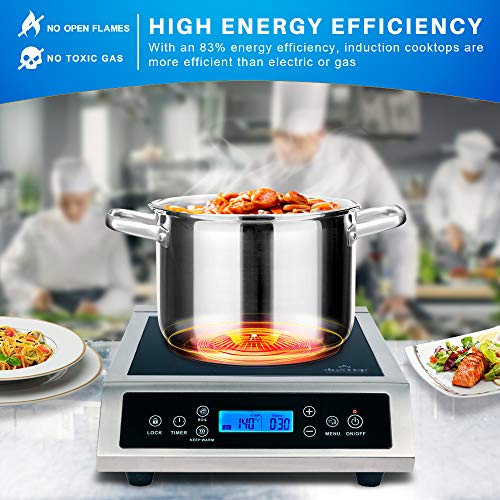 Duxtop Professional Portable Induction Cooktop, Commercial Range