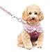 Didog Adjustable Pets Soft Breathable Mesh Vest Harness and Leash Set with Cute Bell for Puppy Small Medium Dogs and Cats(Pink L:Chest 14-20.5