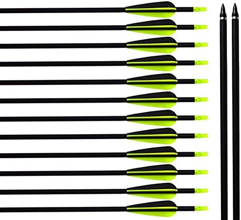 ALBERTU 31'' Standard Carbon Fiber Shaft Arrows Plastic Vanes Replacement Arrow Point Adult Target Arrows for Recurve Bow