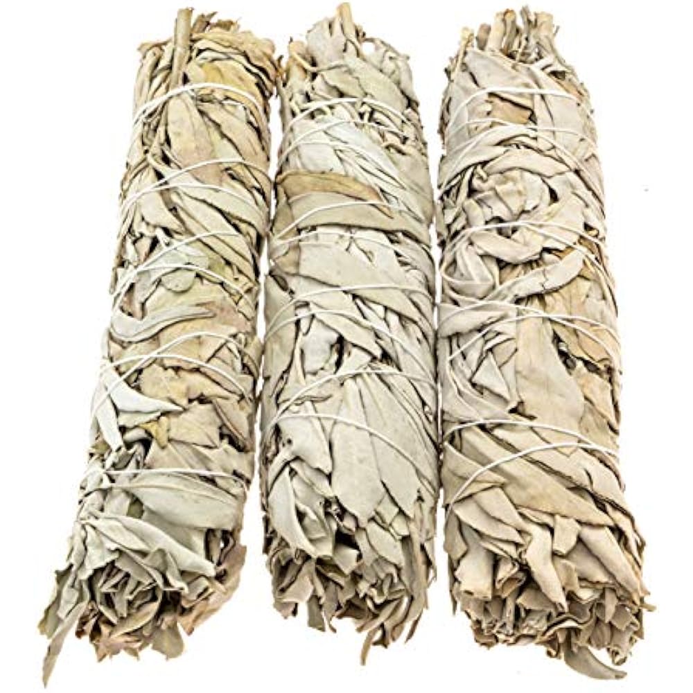 3 Incense Premium California White Sage, Each Stick Approximately 8 Inches Long eBay