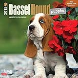Basset Hound Puppies 2015 Small Wall Calendar