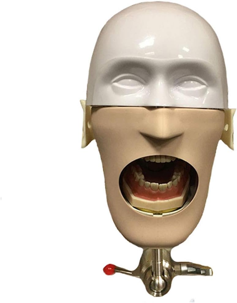 TJIRIS Dental Head Model Oral with Mask Preparation Denture Head-molding Dentist Teaching Practical Model