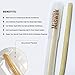 GOWO Miswak Stick and Holder - Natural Teeth Whitening Kit - Natural Toothbrush - No Toothpaste Needed - Herbal Teeth Whitener and Breath Freshener -