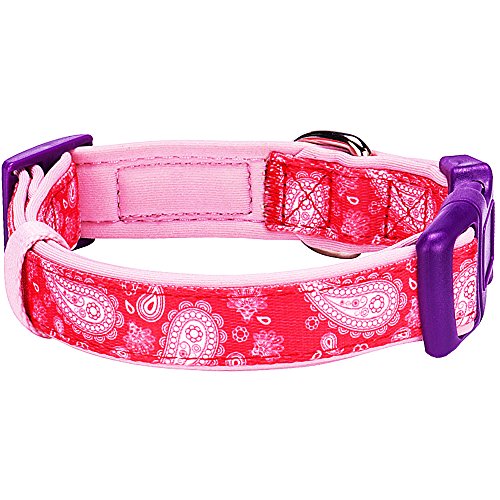 Blueberry Pet 12 Patterns Soft & Comfy Flower Print Neoprene Padded Dog