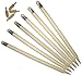 CW Ash Stumps Set, 6 Stumps with 4 Bails