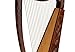 Heather Harp TM, 22 Strings, Vine Design