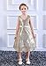 Bow Dream Lovely Lace V-Neck Sleeveless Flower Girl Dress