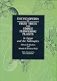 Encyclopedia of Fruit Trees and Edible Flowering Plants: in Egypt and the Subtropics (Modern Arabic Writing) by