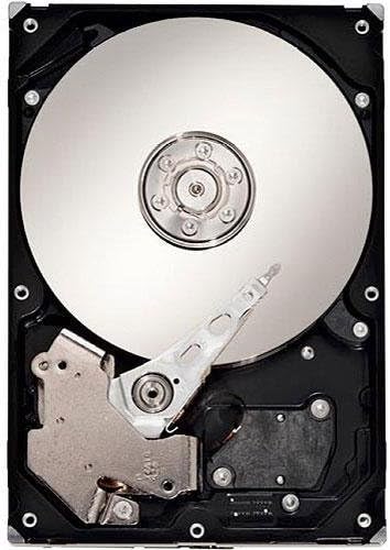 Cal Digit CalDigit Hard Drive-CD-1000 CalDigit RAID Card Internal Hard Drive 1000GB