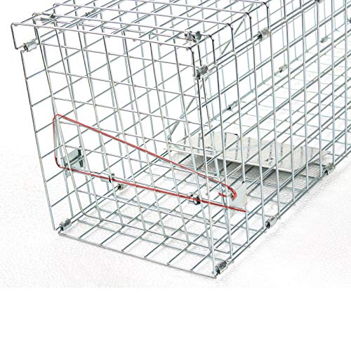 FOBUY Pro-Quality Humane Live Animal Trap Cage,Catch and Release Rabbits,Squirrel, Raccoon and Similar Sized (79 * 28… – Bild 7