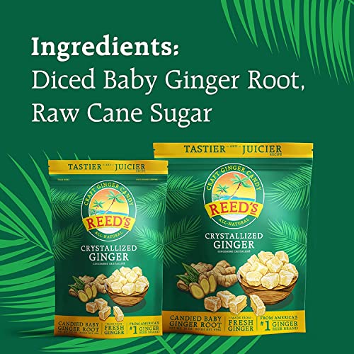 REED’S ALL NATURAL CRYSTALLIZED GINGER NUGGETS IN A 16 OZ RESEALABLE BAG – BABY GINGER ROOT FRUIT SLICES SWEETENED WITH RAW CANE SUGAR CRYSTALS – HIGH ENERGY GINGER CANDIES FOR SNACKING – 12 PACK