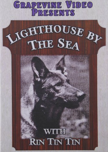 The Lighthouse by the Sea