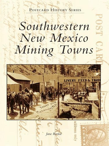 Southwestern New Mexico Mining Towns (Postcard History Series) by Jane Bardal