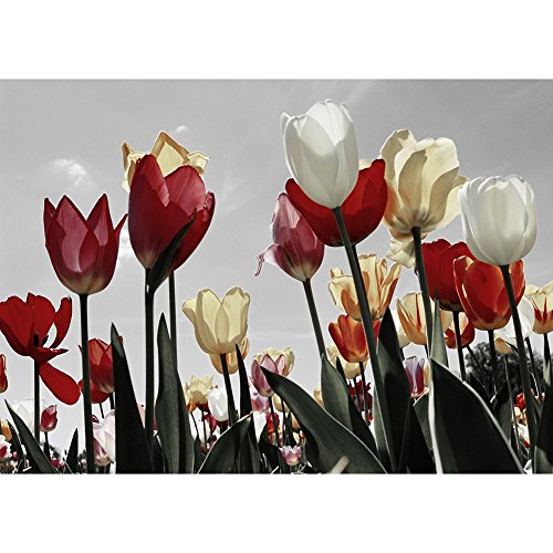 Norbi Painting With Diamonds, Tulips Embroidery Diamond by Number Kits Rhinestone Painting Cross Stitch Kit Wall Art Decor for Kids Adult Beginner