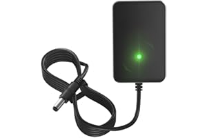 IBERLS 6V Charger for Kidzone Bumper Car, Best Choice Products, Flybar, Dynacraft, 6 Volt Battery Charger Replacement for Paw Patrol, Minnie Mouse, Spider-Man and More Kids Ride On Toys