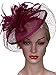 Vijiv Women Vintage Derby Fascinator Hat With Veil Pillbox Headband Feather Cocktail Tea Party