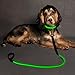 HIGO LED Dog Leash, USB Rechargeable Reflective Glowing Pet Leash, Reflective Light Up Dog Lead with Neoprene Padding Makes Your Pets Visible& Safe for Night Dog Walking (Green2, Led(47 inch))