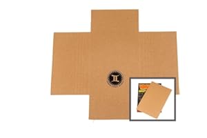 GEMINI COMIC SUPPLY MAGAZINE MAILERS & FILLER PADS BUNDLE - 100 mailers + 100 fillers