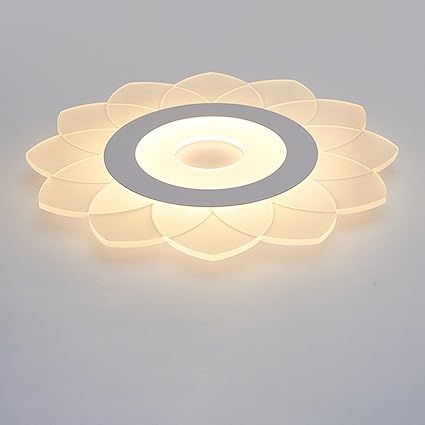 Amazon Com Led Ceiling Light Master Bedroom Light