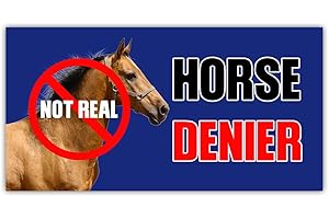 HOSALA (3Pcs - 7.5x3.75 in) Horse Denier Car Bumper Sticker, Funny Quirky Car Decal, Adult Humor Truck Minivan Trailer Vehicle Decoration, Teens Meme Car Accessories, Gift for Family, Friends